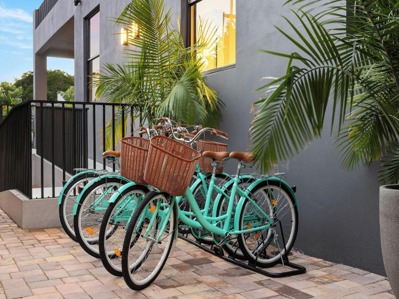 The Rover Miami image