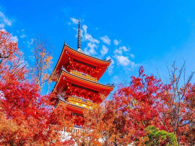 Hanare By Tokyu Stay Kyoto Sanjo image