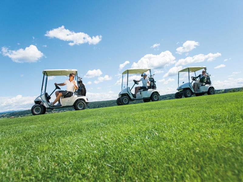 Allegria Resort Stegersbach image