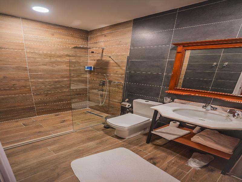 Aria Palace Taksim image