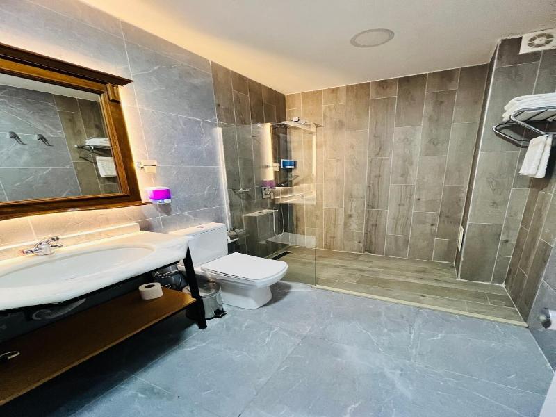 Aria Palace Taksim image