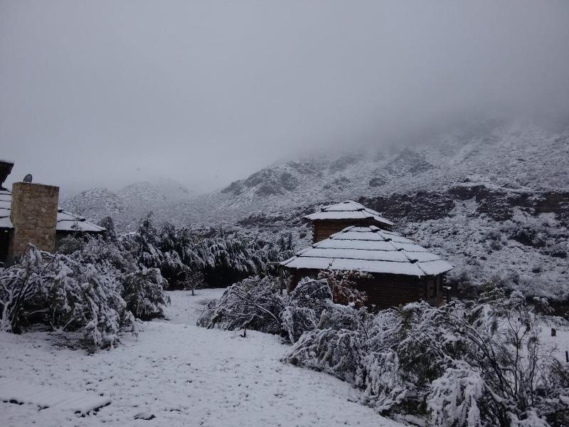 Mendoza Sol Y Nieve