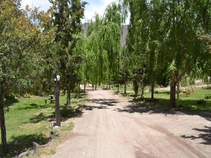 Mendoza Sol Y Nieve