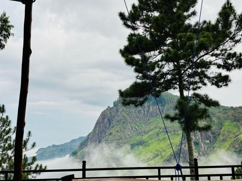 Belmount Ella image