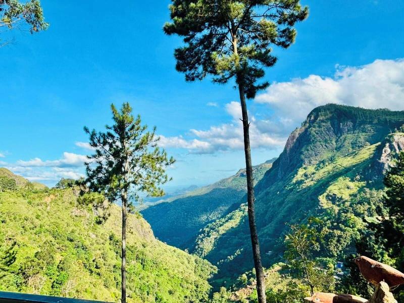 Belmount Ella