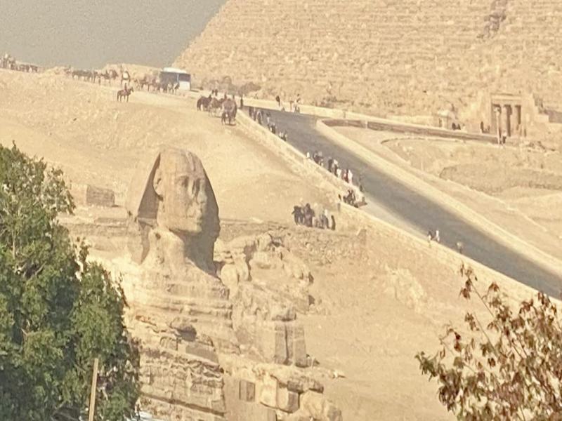Tut & Pyramids View image