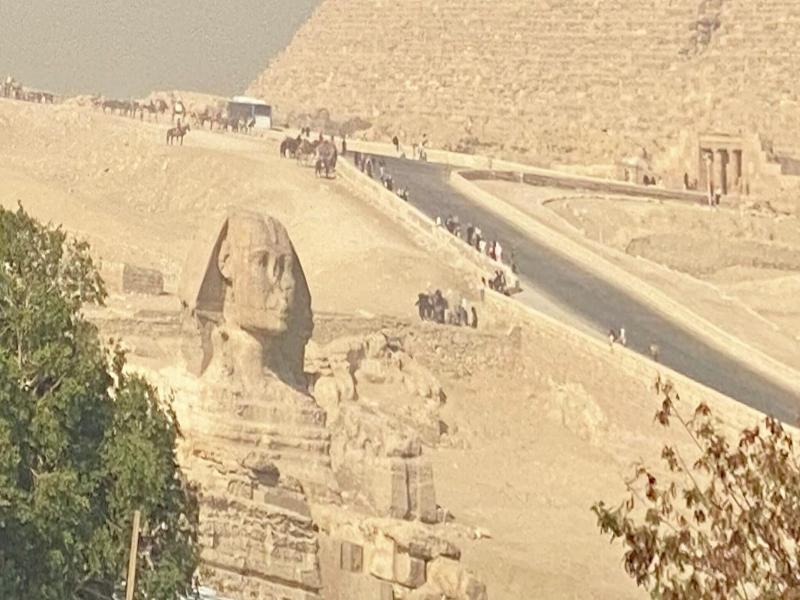 Tut & Pyramids View image