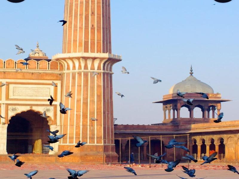 Hotel C & G Villa New Delhi image