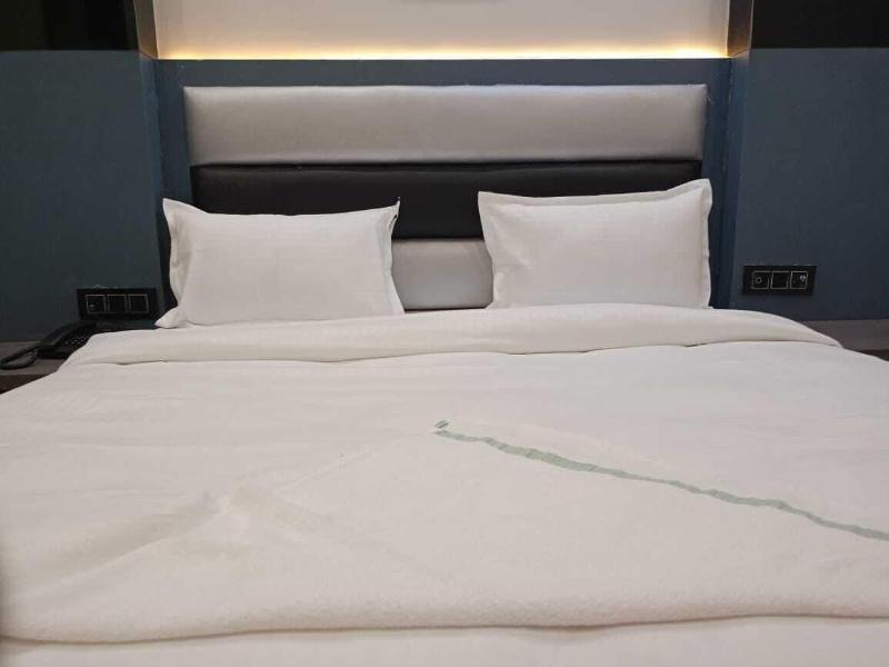 Hotel C & G Villa New Delhi image