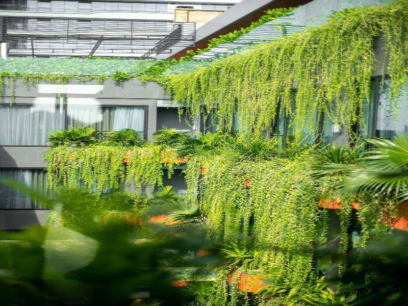 Chi House Danang image