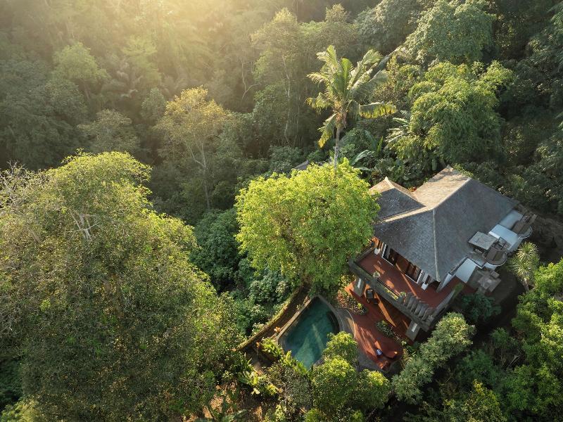 Villa Leona Valley View Ubud image