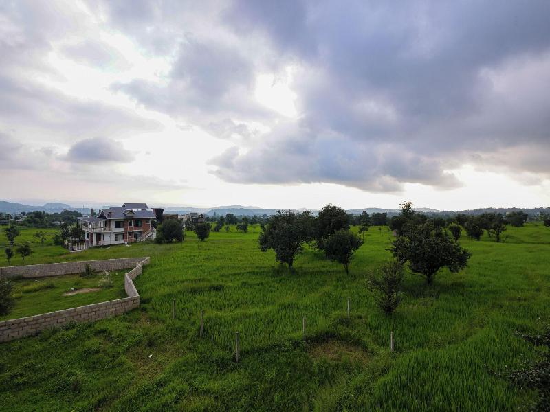 Vista Valley Stay Dharamshala image