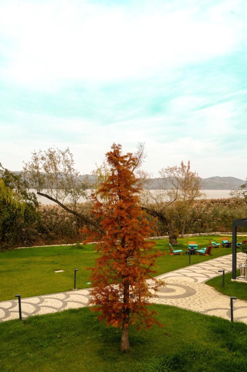 Wellwood Sapanca Hotel image