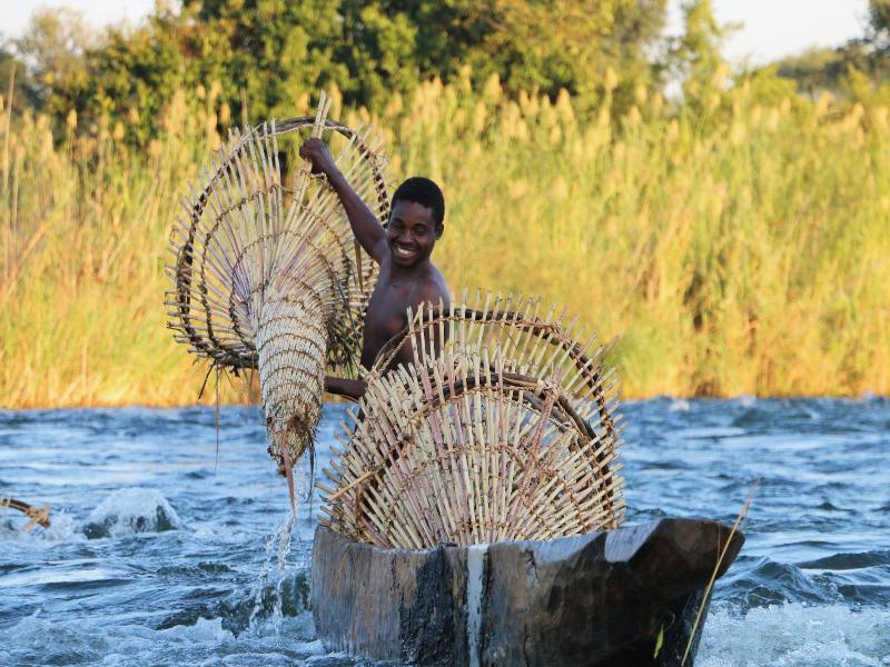 Royal Chundu River Zambezi Lodge image