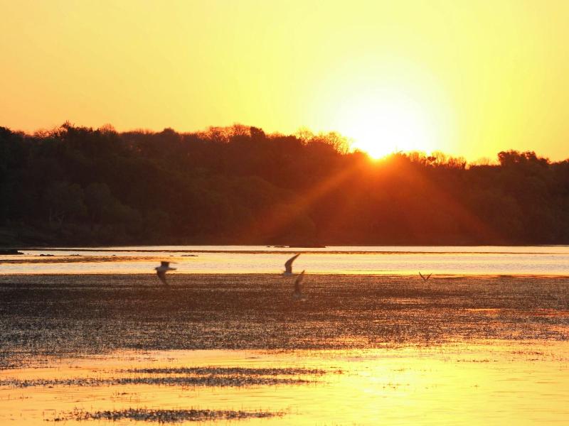 Royal Chundu River Zambezi Lodge image