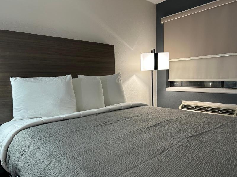 Studio Single, 1 Queen Bed, Kitchenette