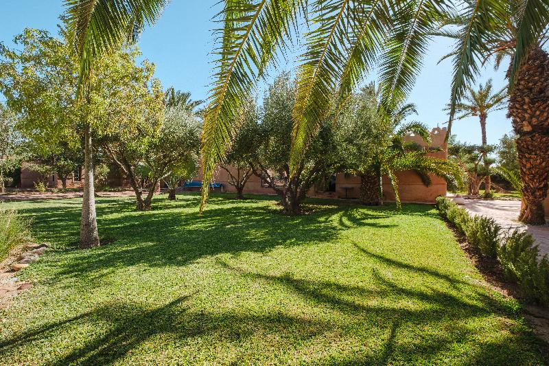Hotel Dar 55 Berbere House & Spa image