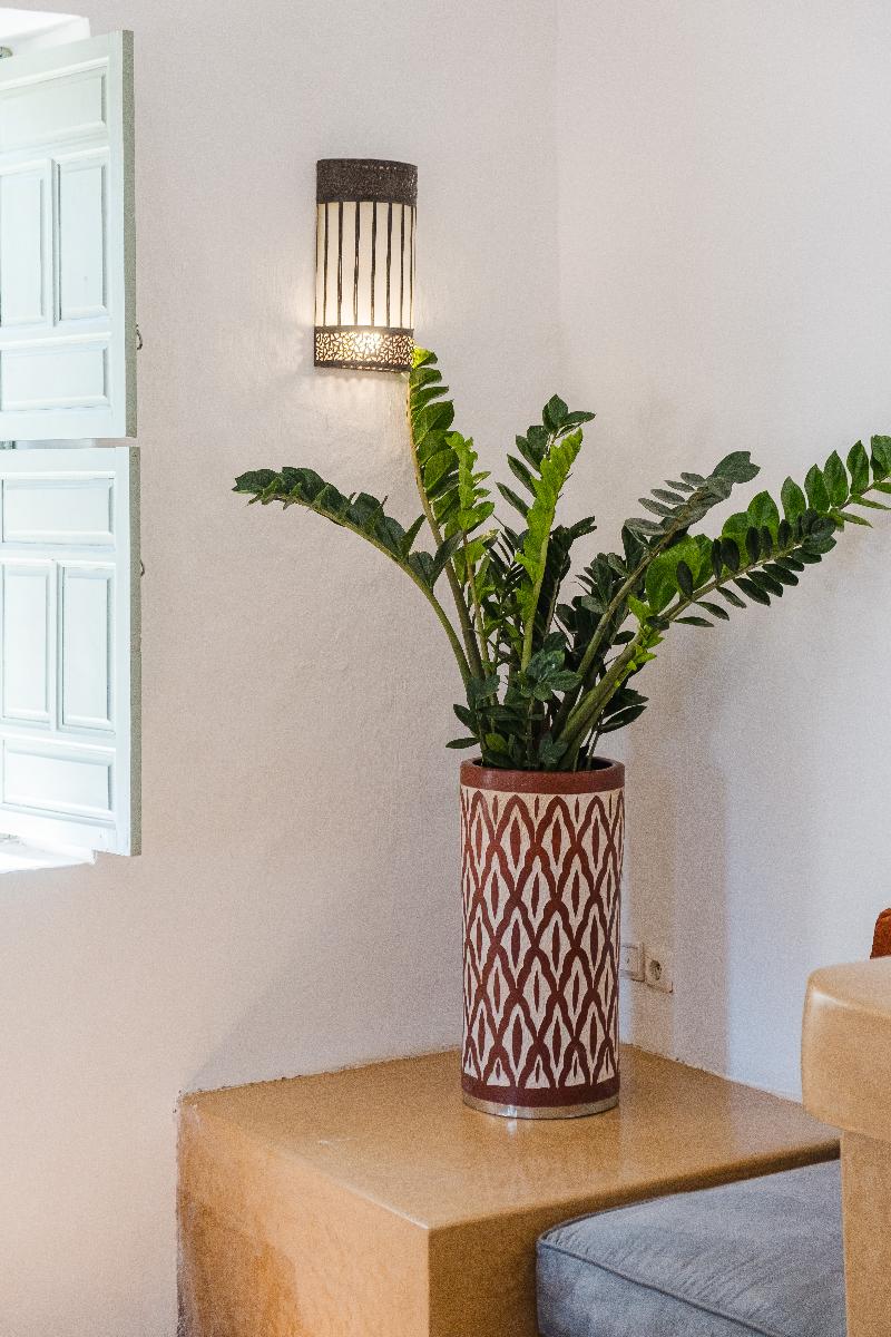 Hotel Dar 55 Berbere House & Spa image