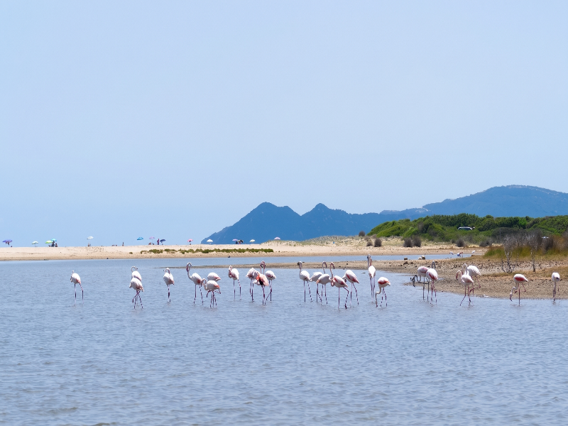 Valtur Sardegna Eos Costa Rei image