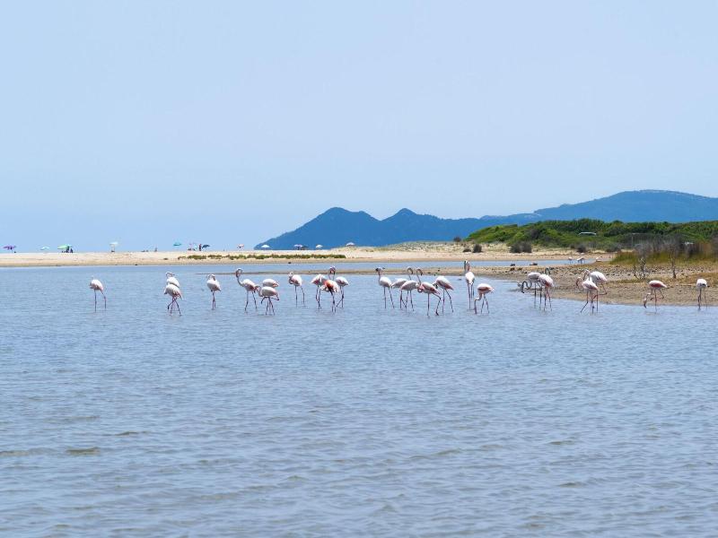 Valtur Sardegna Eos Costa Rei image
