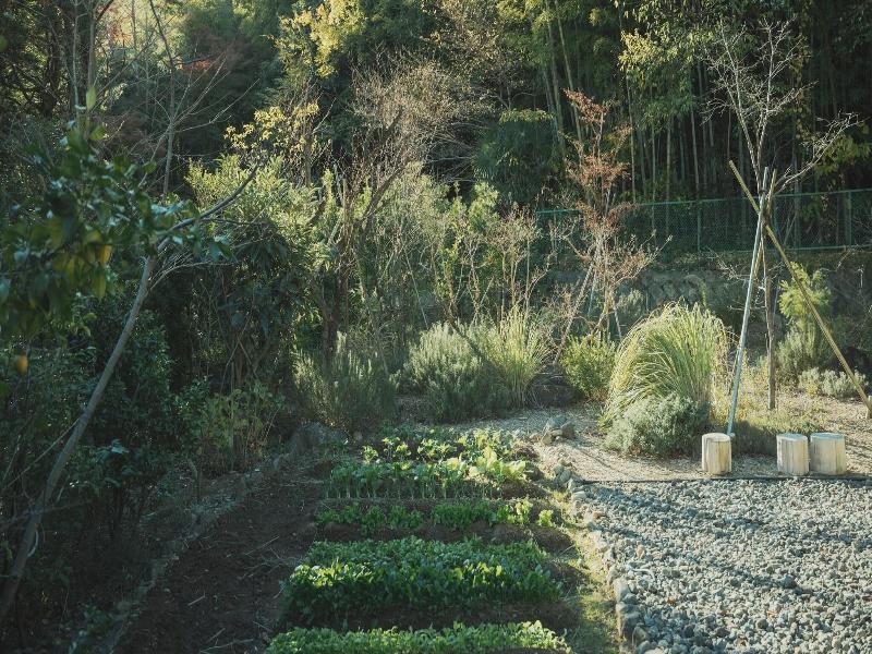 Soki Atami image