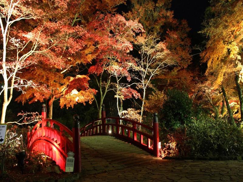 Soki Atami image