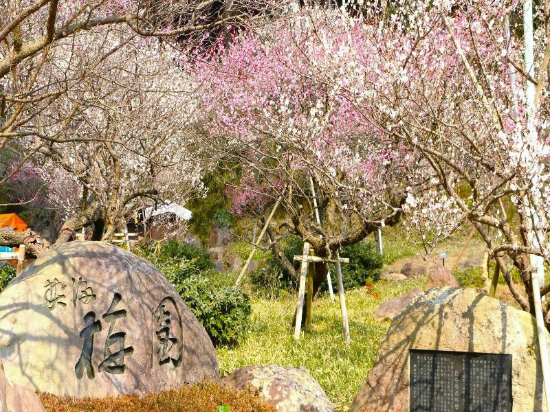 Soki Atami image