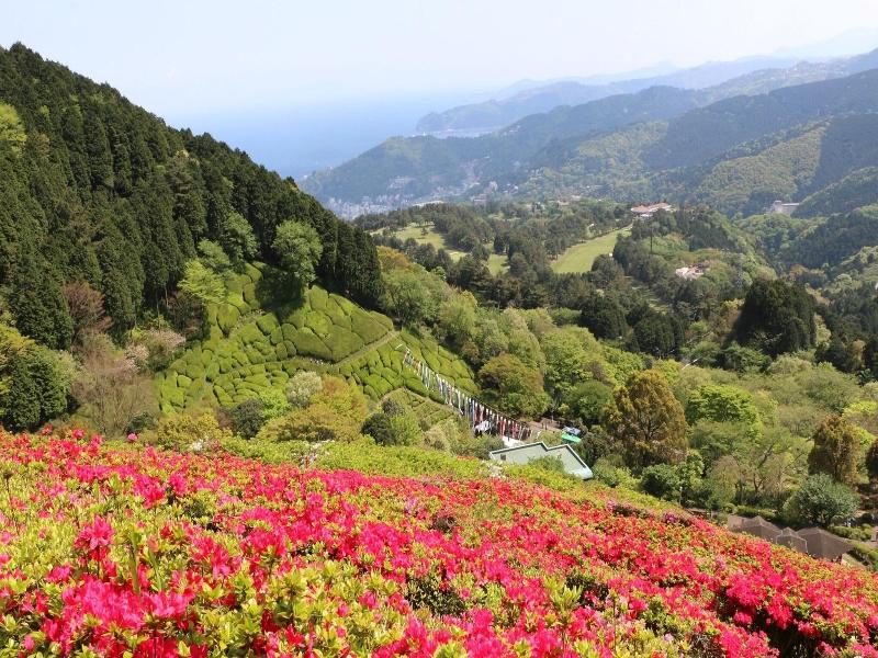 Soki Atami image