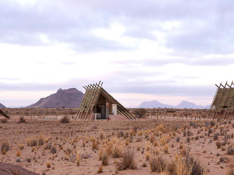 Desert Quiver Camp image