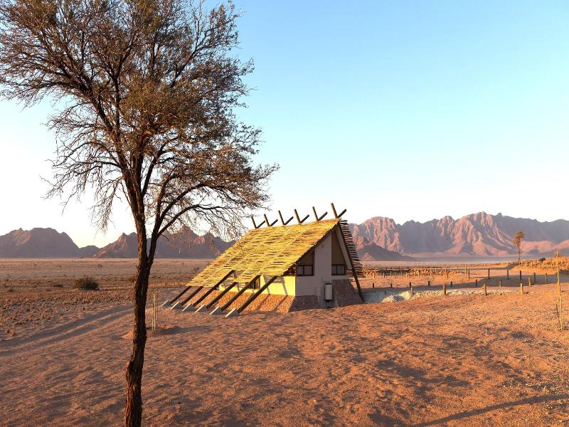 Desert Quiver Camp image