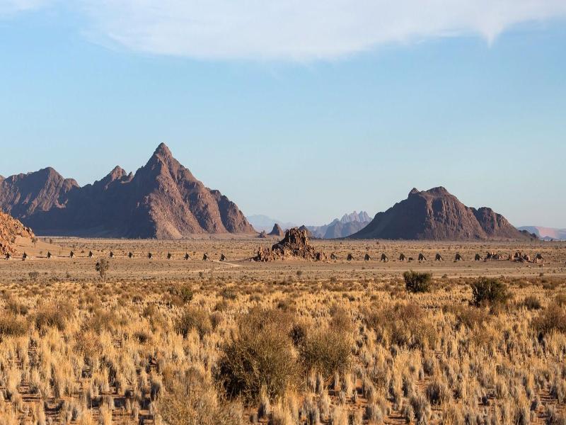 Desert Quiver Camp image