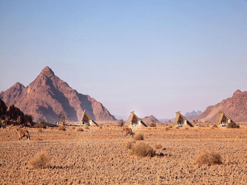 Desert Quiver Camp image