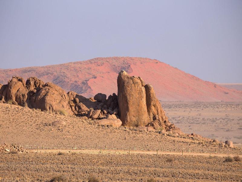 Desert Quiver Camp image