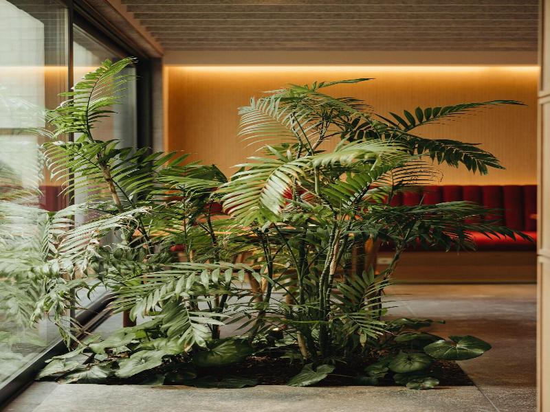 Nine Dots Azorean Art Boutique Hotel image