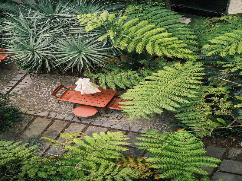 Nine Dots Azorean Art Boutique Hotel image