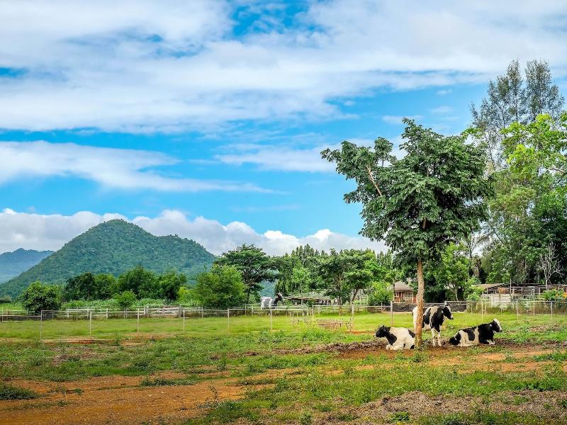 Intercontinental Khao Yai Resort By Ihg image