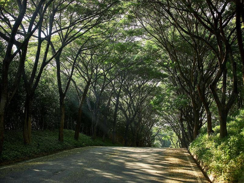 Intercontinental Khao Yai Resort By Ihg image