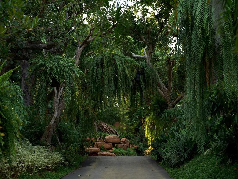 Intercontinental Khao Yai Resort By Ihg image