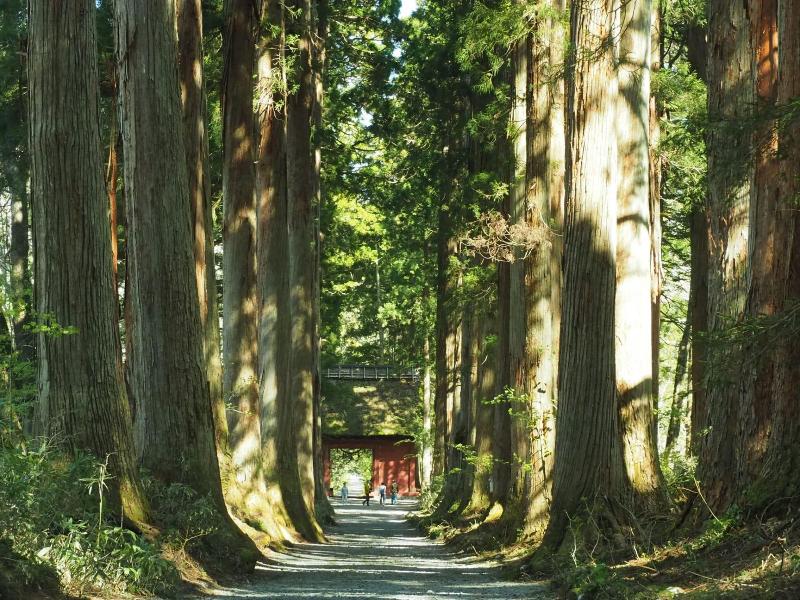 Toyoko Inn Nagano-eki Higashi-guchi image
