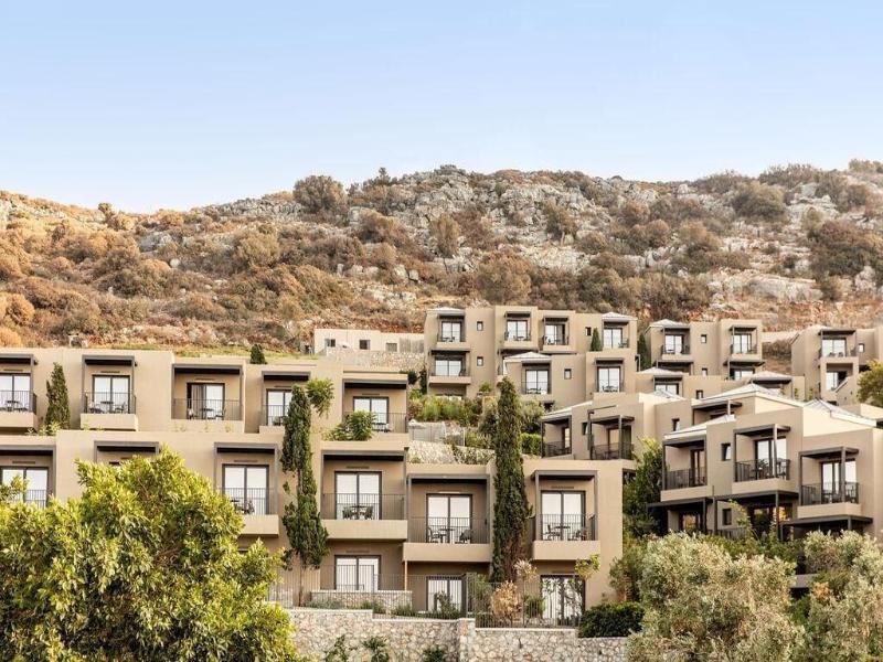 Elios Hill - Sun Kissed Happiness — general view