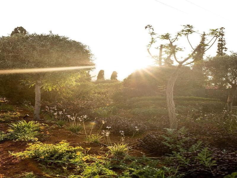Elios Hill - Sun Kissed Happiness image