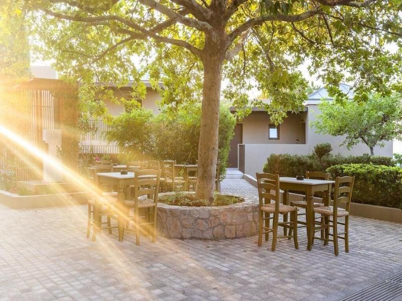 Elios Hill - Sun Kissed Happiness image