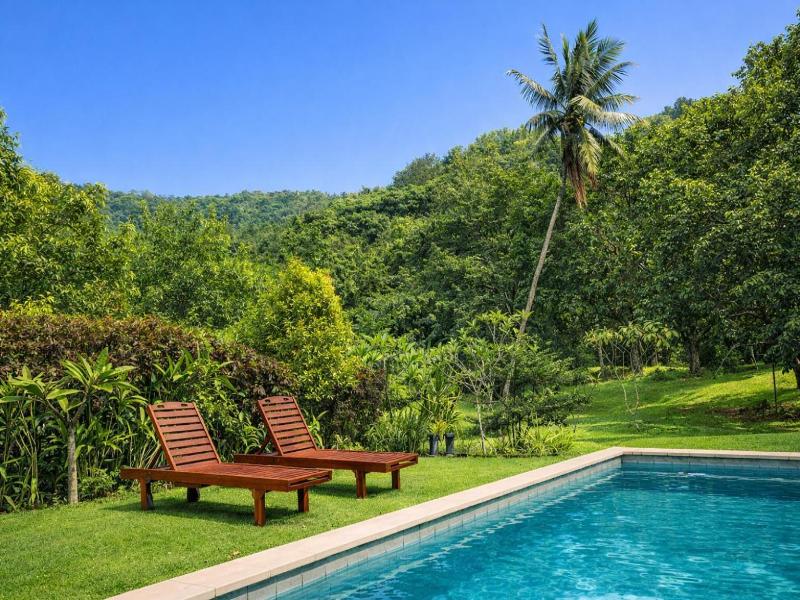 Cici Bungalow Senggigi image
