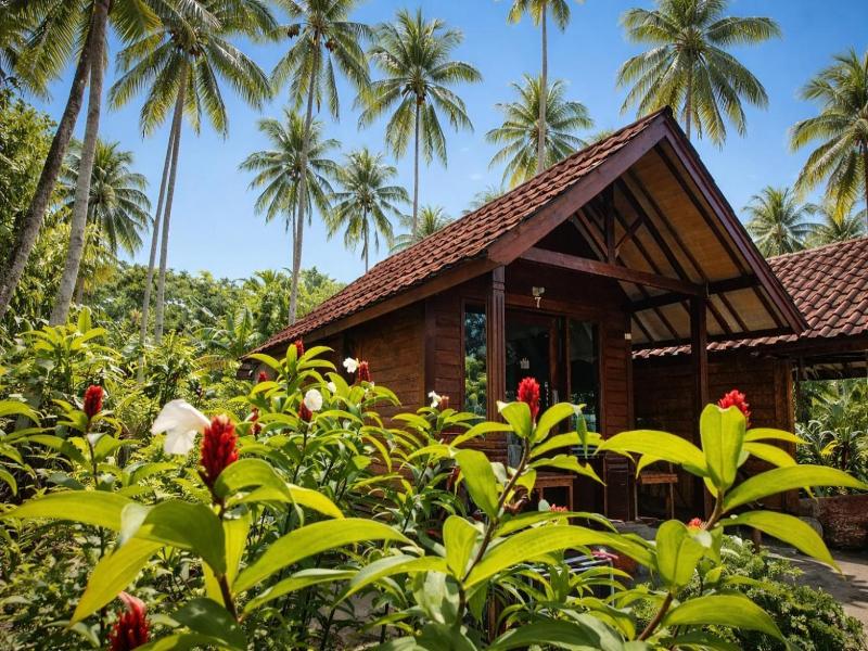 Cici Bungalow Senggigi image
