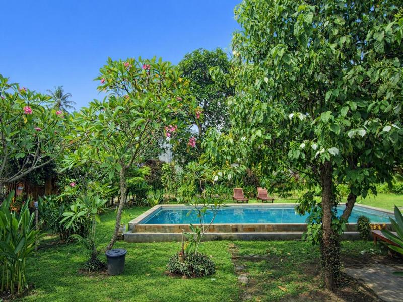 Cici Bungalow Senggigi image