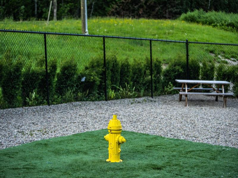 Boulder Mountain Resort image