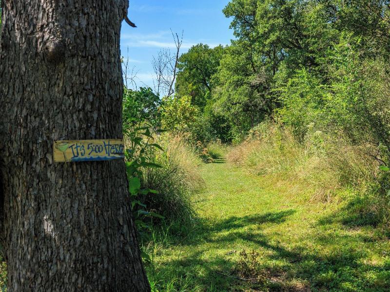 City On A Hill At Spring Creek