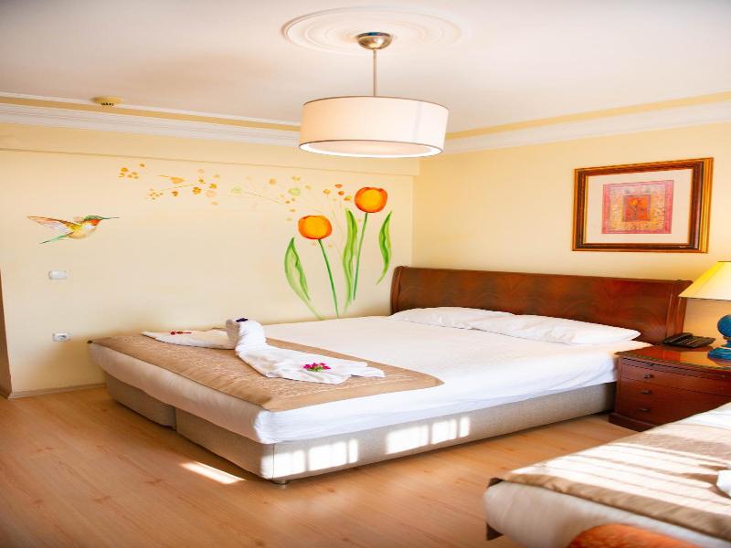 Hotel Simsek image