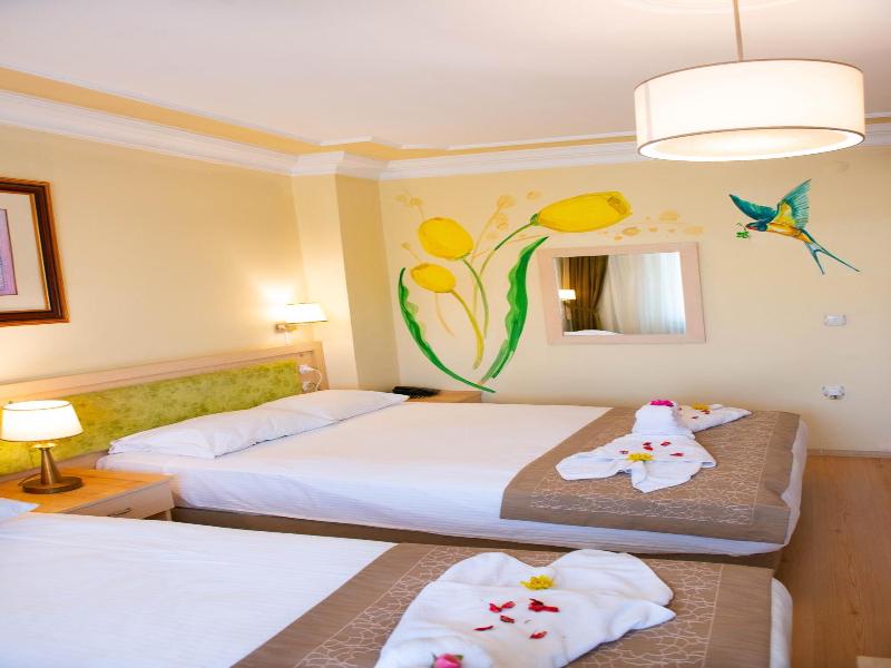 Hotel Simsek image