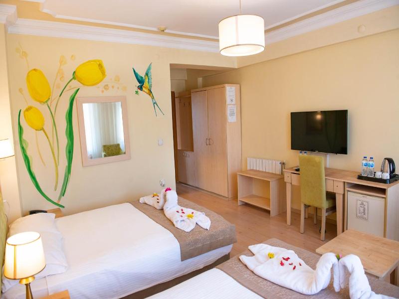 Hotel Simsek image